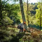 HUSQVARNA 450S BENZINES LÁNCFŰRÉSZ
